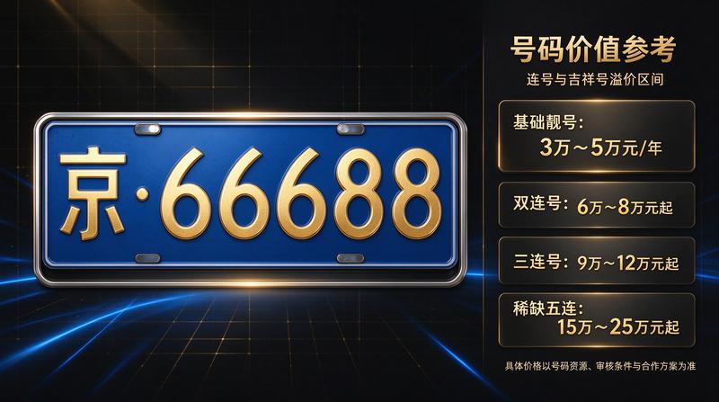 新能源车主